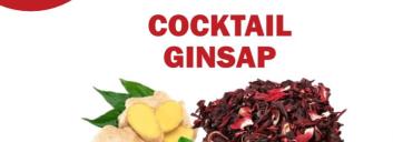 Cocktail GINSAP
